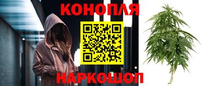 стаф Краснознаменск
