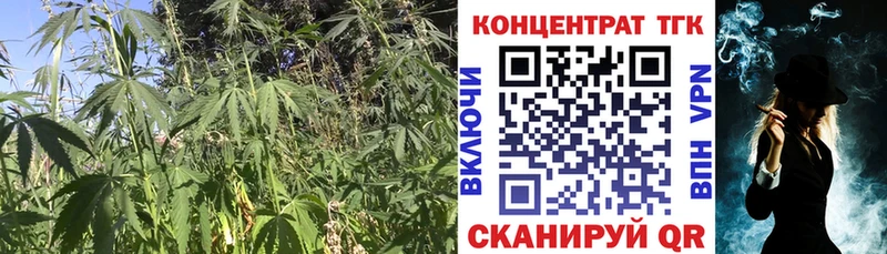 Дистиллят ТГК Wax Котельники