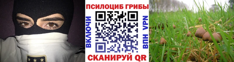 Галлюциногенные грибы MAGIC MUSHROOMS  blacksprut вход  Котельники  продажа наркотиков 