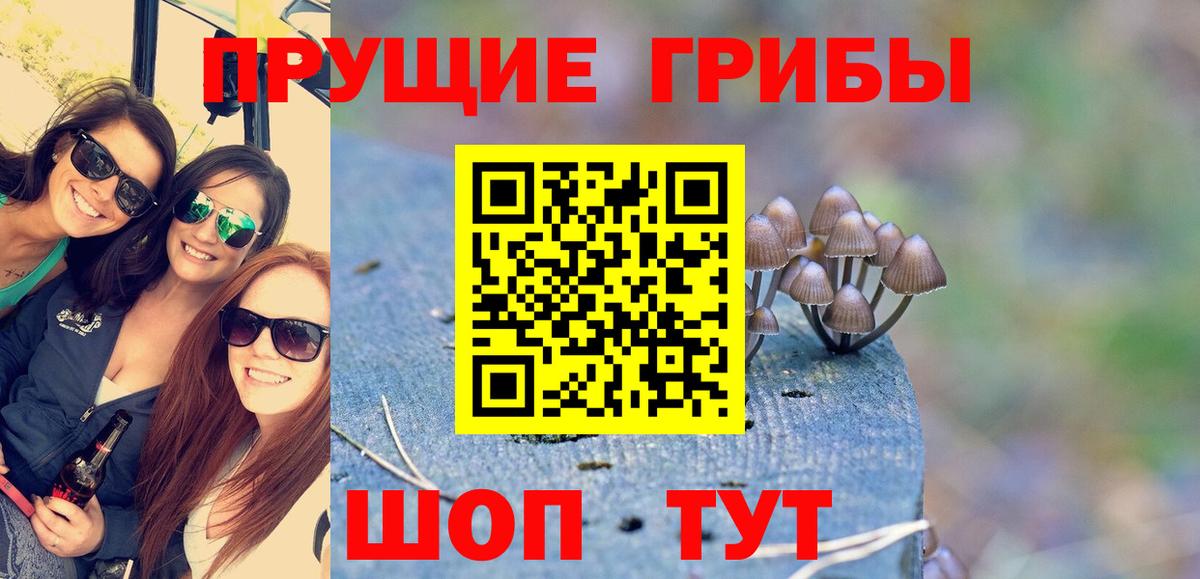 Псилоцибиновые грибы Cubensis  Псилоцибиновые грибы Magic Shrooms  Котельники  Вход с VPN 